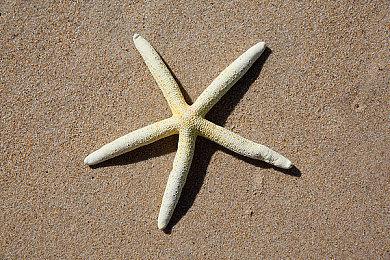 维塔士员工资料显示 《上古卷轴4》虚幻5重制版开发中